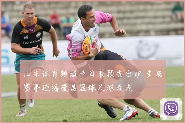 山东体育频道节目表预告出炉 多场赛事连播覆盖篮球足球看点