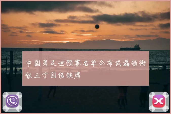 中国男足世预赛名单公布武磊领衔张玉宁因伤缺席