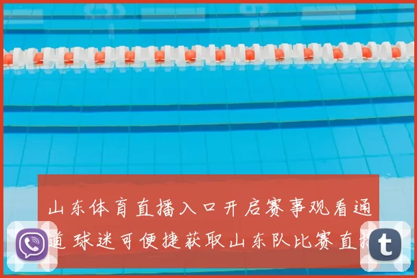 山东体育直播入口开启赛事观看通道 球迷可便捷获取山东队比赛直播信息