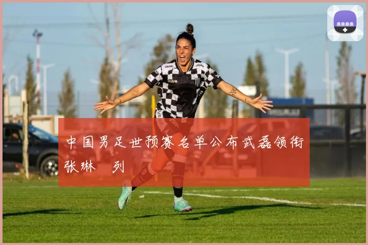 中国男足世预赛名单公布武磊领衔张琳芃列