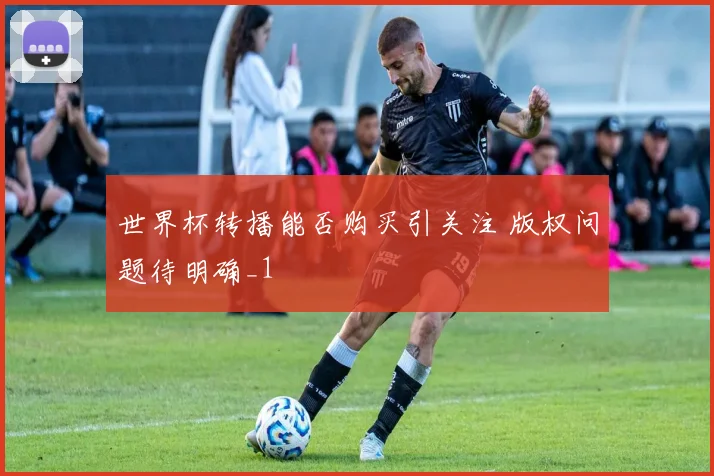 世界杯转播能否购买引关注 版权问题待明确_1