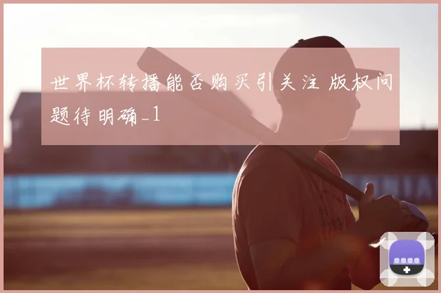世界杯转播能否购买引关注 版权问题待明确_1