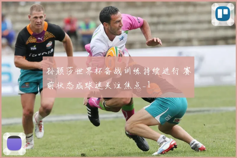 孙颖莎世界杯备战训练持续进行 赛前状态成球迷关注焦点_1
