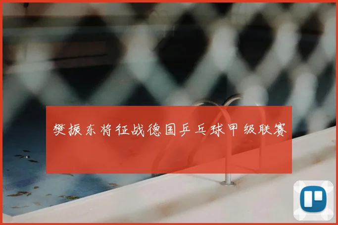 樊振东将征战德国乒乓球甲级联赛