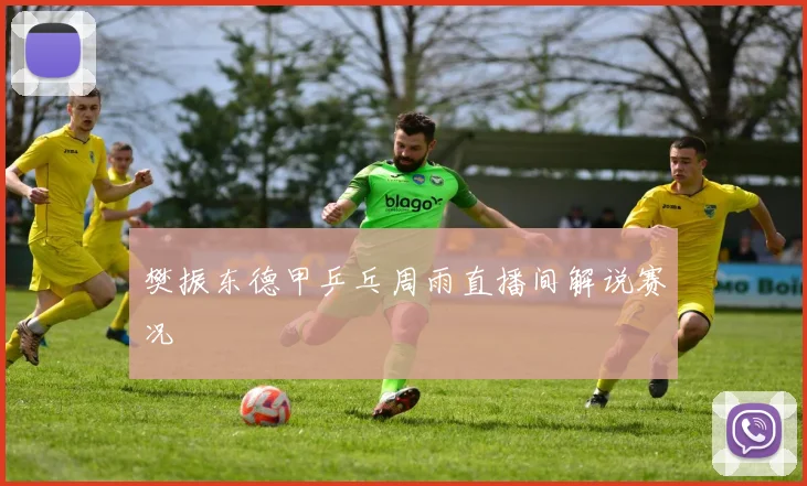 樊振东德甲乒乓周雨直播间解说赛况